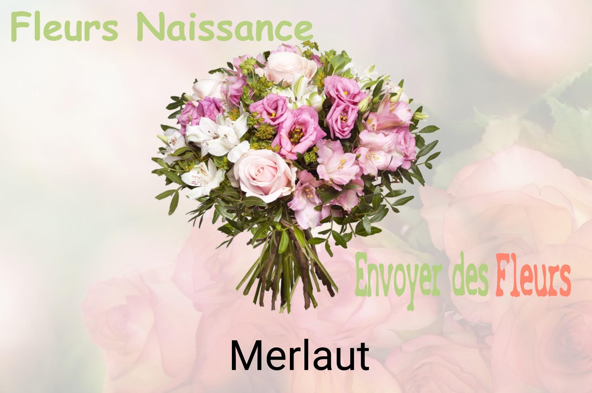 Bouquet de fleurs de naissance livré à Merlaut